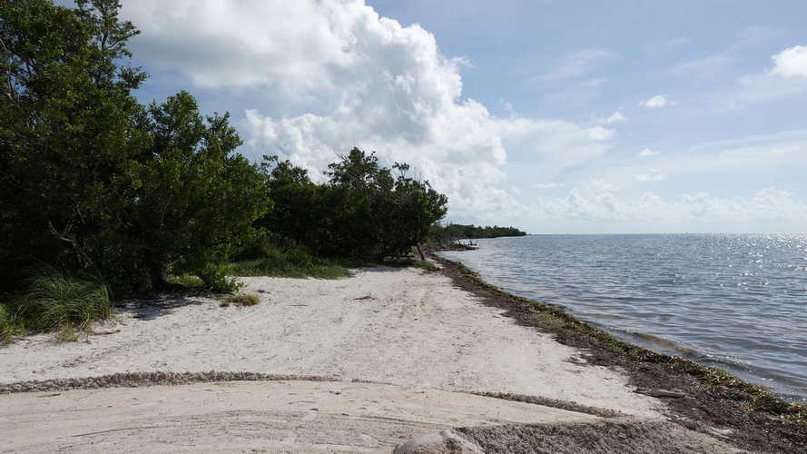 MIA_2023-08-15 10-15-48_RX_06122